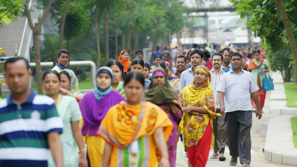 bangla web
