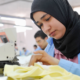 Egypt Updates