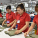 Hansae Viet Nam: Resolving grievances and moving towards sustainable development