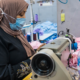Better Work Egypt: A key component of SLARIE