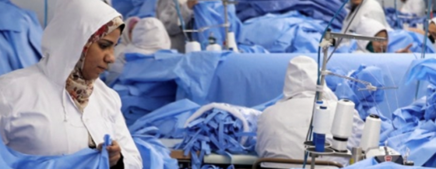 COVID-19 response: SLARIE joins partner efforts in Egypt
