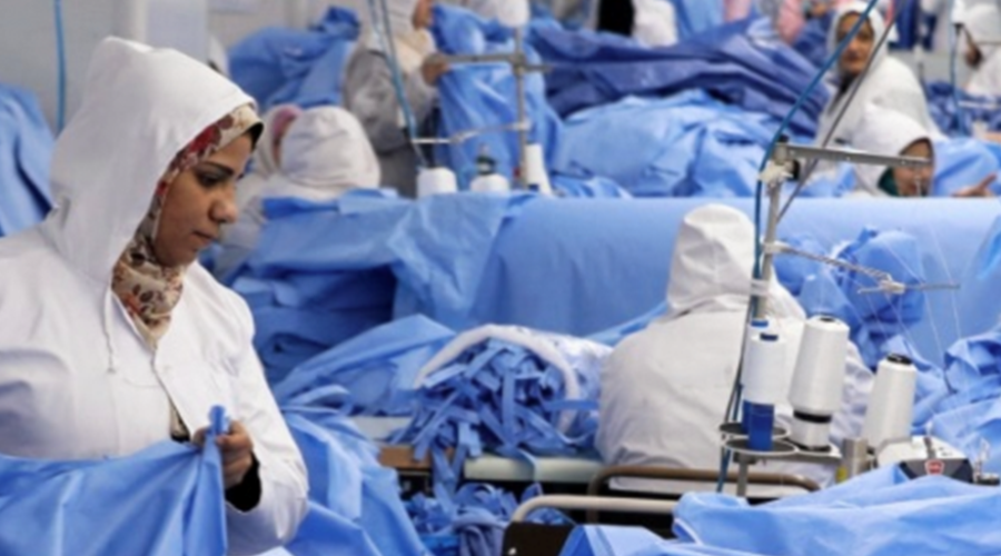 COVID-19 response: SLARIE joins partner efforts in Egypt